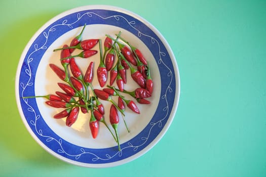 Plate with piri-piri chili pepper. Studio shot with natural light. Turquoise background