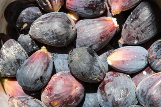 Fresh figs freshly picked from tree. Studio shot with natural light