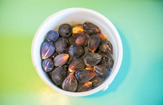 Bucket full of fresh fig just harvested. Studio shot with natural light. Turquoise background