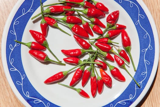 Plate with piri-piri chili pepper. Studio shot with natural light. Wooden background