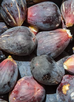 Fresh figs freshly picked from tree. Studio shot with natural light
