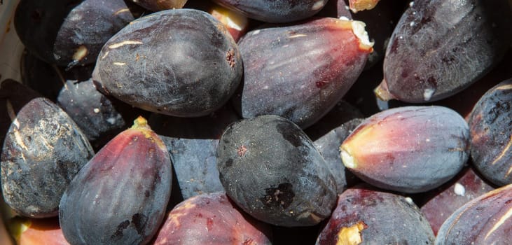 Fresh figs freshly picked from tree. Studio shot with natural light