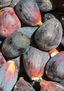 Fresh figs freshly picked from tree. Studio shot with natural light