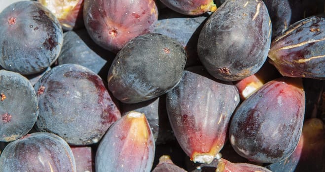 Fresh figs freshly picked from tree. Studio shot with natural light