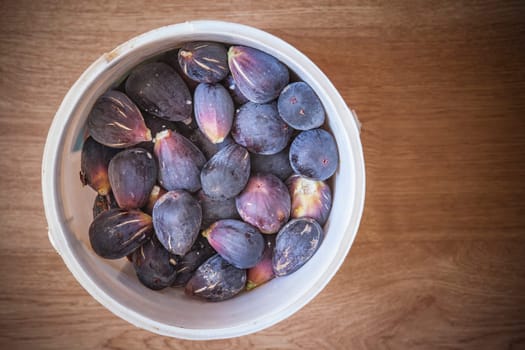 Bucket full of fresh fig just harvested. Studio shot with natural light. Wooden background