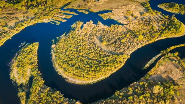 Aerial View Green Forest Woods And River Landscape In Sunny Spring Summer Day. Top View Of Beautiful European Nature From High Attitude In Autumn Season. Drone View. Bird's Eye View.
