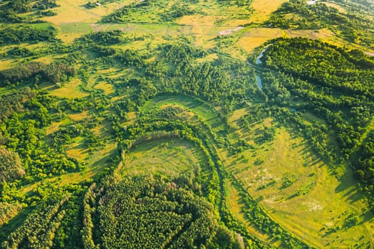 Aerial View Green Forest Deforestation Area Landscape. Top View Of New Growing Forest. European Nature From High Attitude In Summer Season. Drone View. Bird's Eye View.