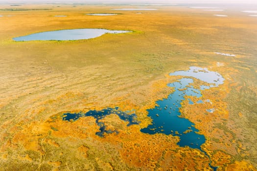 Miory District, Vitebsk Region, Belarus. The Yelnya Swamp. Upland And Transitional Bogs With Numerous Lakes. Elevated Aerial View Of Yelnya Nature Reserve Landscape. Famous Natural Landmark.