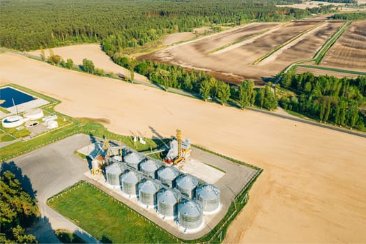 Aerial View Modern Granary, Grain-drying Complex, Commercial Grain Or Seed Silos In Sunny Spring Rural Landscape. Corn Dryer Silos, Inland Grain Terminal, Grain Elevators Standing In A Field.