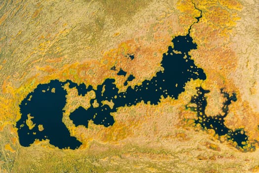 Miory District, Vitebsk Region, Belarus. The Yelnya Swamp. Upland And Transitional Bogs With Numerous Lakes. Elevated Aerial View Of Yelnya Nature Reserve Landscape. Famous Natural Landmark.