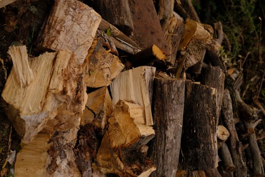 Stacked chopped wood for the winter with sun shine