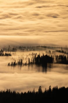 Autumn mountains covered with fog and clouds with trees peeking out and casting long shadows in morning light. Sun shining through a mist in nature scenery.