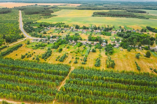 Aerial View Green Forest Deforestation Area Landscape Near Village. Top View Of New Young Growing Forest. European Nature From High Attitude In Summer Season.