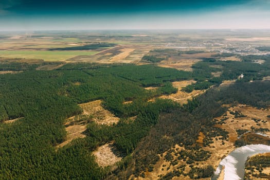 Aerial View Of Deforestation Area Landscape. Green Pine Forest In Deforestation Zone. Top View Of Forest Landscape. Drone View. Bird's Eye View.