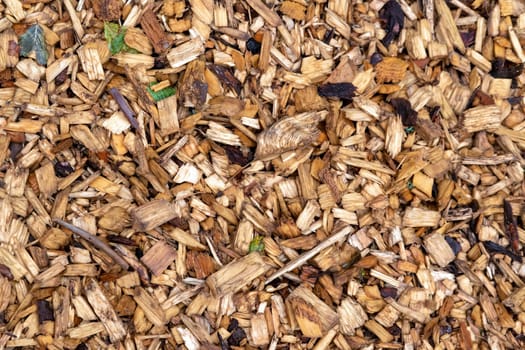 Wet dark softwood chips with foliage evenly spread as a background