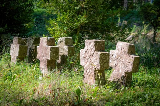 Very old tombstones made of red sandstone overgrown with grass and weeds stand in a row