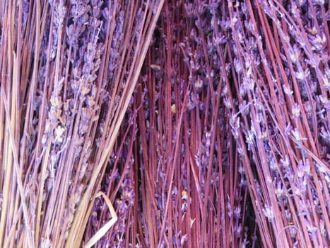 preserved dried lavender flower aromatics colorful ornamental
