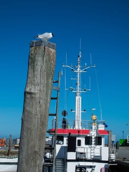 A seagull sitting on a pole in front of a blue sky and a partial view of an island ferry in the port of Harlesiel.
