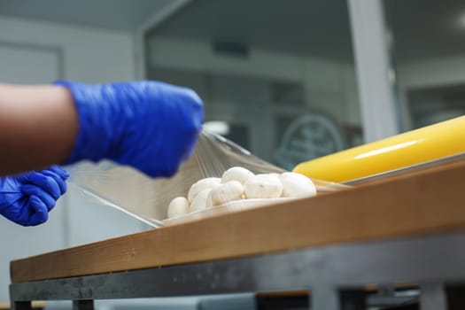 Worker wraps mushrooms lying in foam dish in stretch film. Close up of man's hands in disposable gloves making portions of mushrooms wrapping them in cling film.