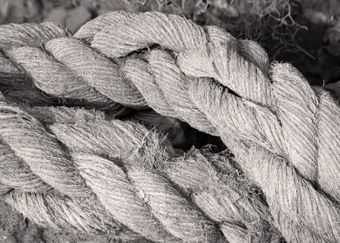 A carelessly thrown away old rope from a cutter, ship.