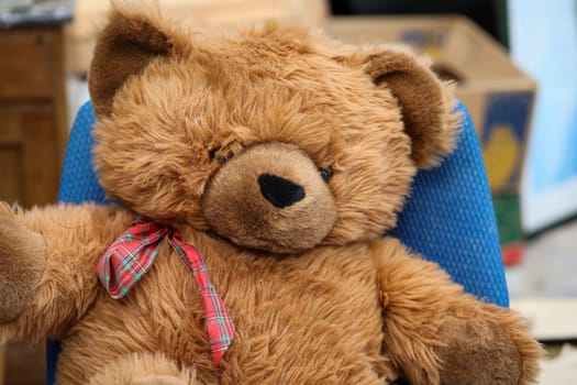The dream of every child a real teddy bear.