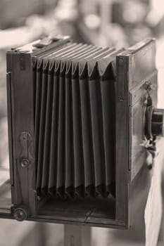A detail of a bellows camera, or plate chambera. Here, coated glass plates were exposed.