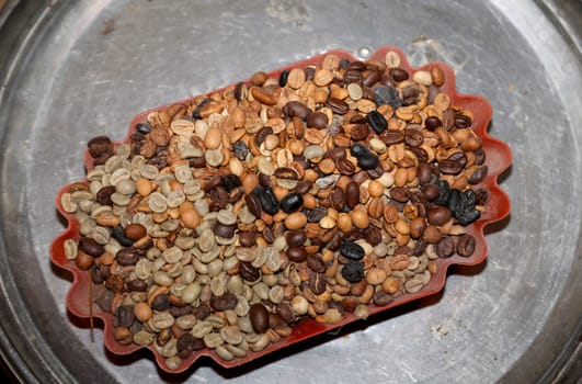 Many sorted out coffee beans which are not suitable for coffee preparation.