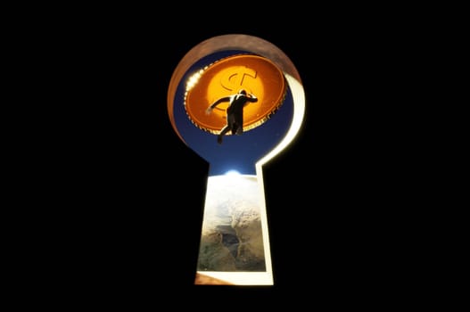 3D Illustration. 3D Rendering , Businessman jumping on keyhole into target gold coin-Business concept