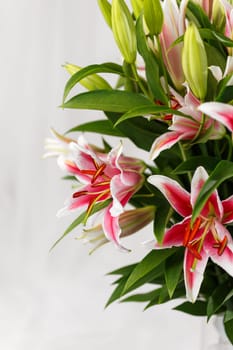 Beautiful large bouquet of pink lilies. Bouquet of lilies in which not all flowers have bloomed. Floral concept. Closeup.