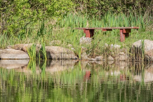 lakeside planting
