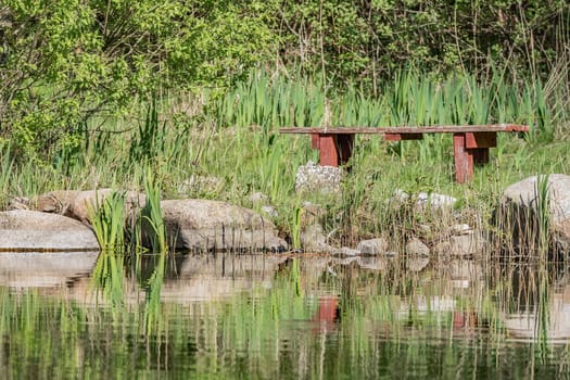 lakeside planting