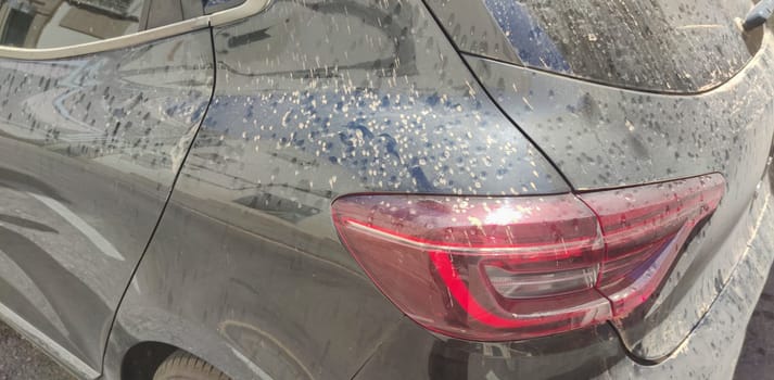Rain dust drops stains over trunk car door. Closeup