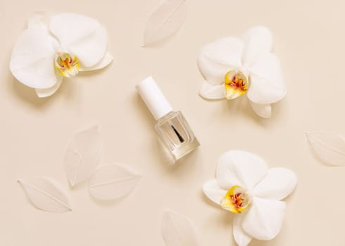 Clear Glass Refillable Bottle with Brush Cap near white orchid flower on light beige, top view, Nail product mockup. Exotic natural cosmetics, pastel minimal composition..