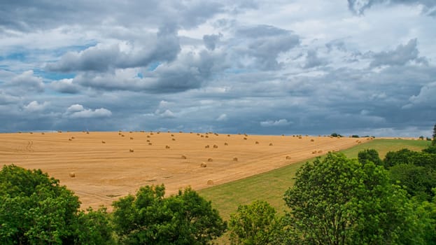 Cornfields on which bales of straw remain after harvest. Wheat was harvested. Food and fodder for livestock. Landscape shot of fields and meadows with trees and path.