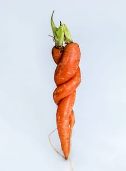 Two specially shaped carrots. Two carrots embraced on white background.