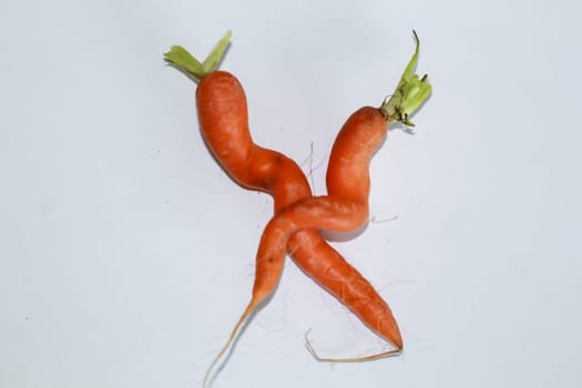 Two specially shaped carrots. Two carrots embraced on white background.