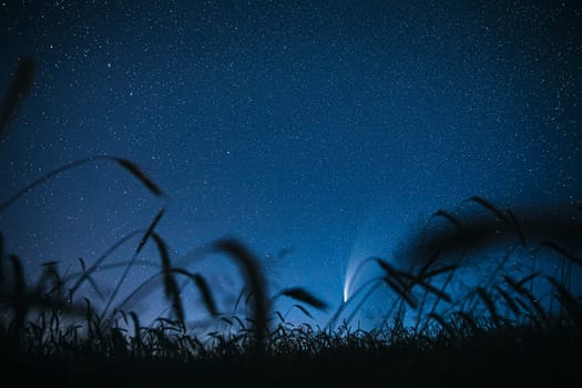 Belarus. 17 July 2020. Comet Neowise C/2020 F3 Shines Bright In The Night Starry Sky Above Young Wheat Field. Night Stars Above Summer Agricultural Field In July Month. Comet At A Distance Of 104 Million Kilometres.
