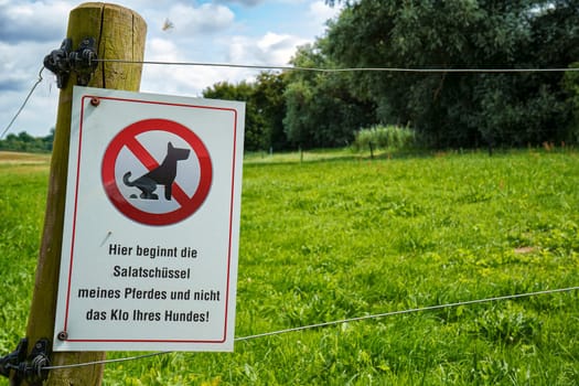 Dogs are not allowed in the paddock