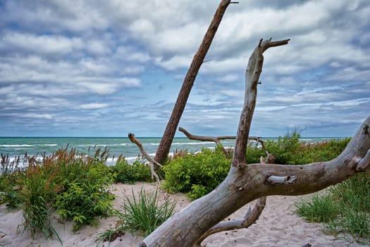 West beach of Fischland-Darss peninsula near Ahrenshoop, Mecklenburg Baltic Sea coast, Mecklenburg-West Pomerania, Germany