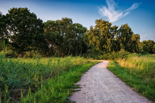 Landscape at the Barther Bodden, Fischland-Darss peninsula, Mecklenburg-West Pomerania, Germany