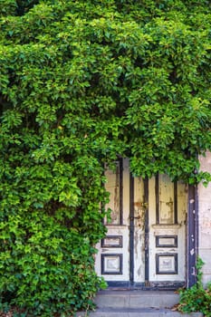 old back entrance in Zingst, Fischland-Darss, Mecklenburg-West Pomerania, Germany