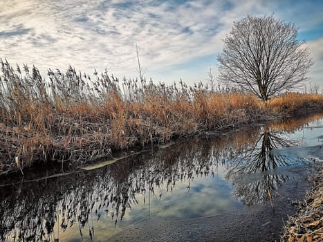 small canal in Brandenburg countryside, Germany