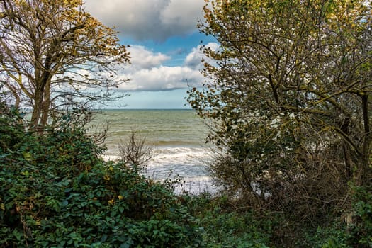Baltic Sea coast near Kuehlungsborn, Mecklenburg-West Pomerania