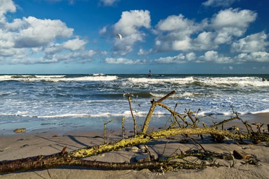 Baltic Sea coast near Kuehlungsborn, Mecklenburg-West Pomerania