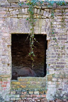 old dilapidated ruin of a villa