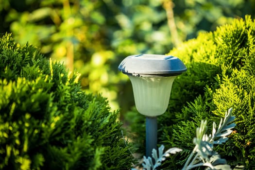 Beautiful Small Solar Garden Light, Lanterns In Flower Bed. Garden Design. Solar Powered Lamp