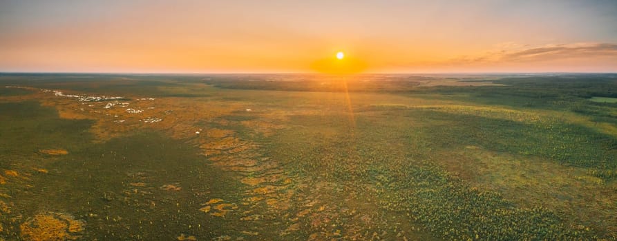 Miory District, Vitebsk Region, Belarus. The Yelnya Swamp. Upland And Transitional Bogs With Numerous Lakes. Elevated Aerial View Of Yelnya Nature Reserve Landscape. Famous Natural Landmark. Panorama.