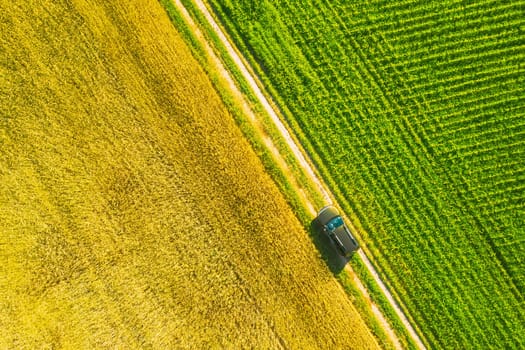 Aerial View Of Car SUV Parked Near Countryside Road In Spring Field Rural Landscape. Car Between Young Wheat And Corn Maize Plantation.