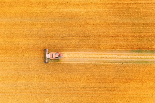 Aerial View Combine Harvester Working In Field. Harvesting Of Wheat In Summer Season. Agricultural Machines Collecting Wheat Seeds.