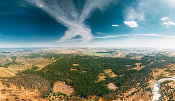 Aerial View Of Deforestation Area Landscape. Green Pine Forest In Deforestation Zone. Top View Of Forest Landscape. Drone View. Bird's Eye View. Panorama, Panoramic View.
